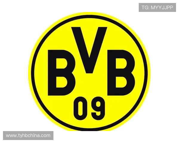德甲球队好看图片集锦及视觉设计分析 德甲球队好看图片集锦及视觉设计分析