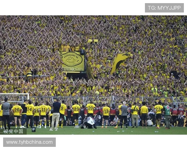 德甲最特别球队的历史故事与球迷文化