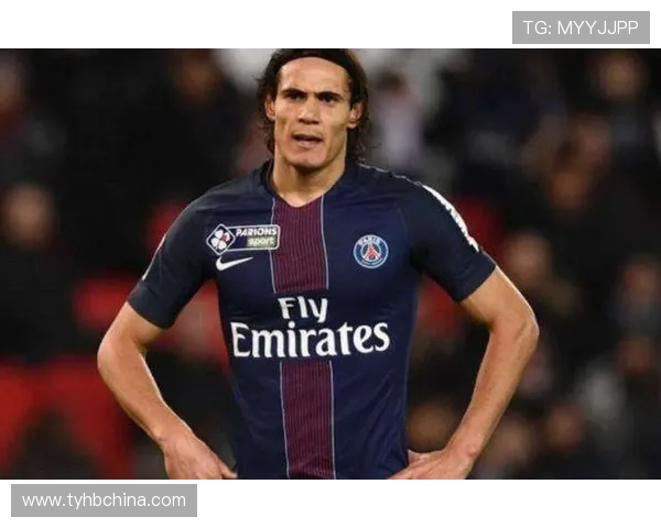 法甲历届最佳球员盘点:卡瓦尼是否上榜? 法甲历届最佳球员盘点:卡瓦尼是否上榜?